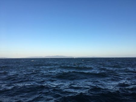 アジ釣れず終了